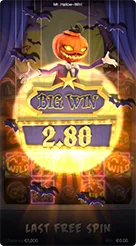 big11 · Mr Hallow Jp